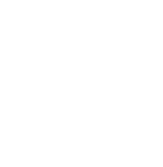přehrát video